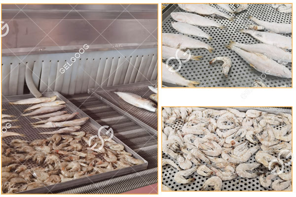 seafood-iqf-machine-details.jpg