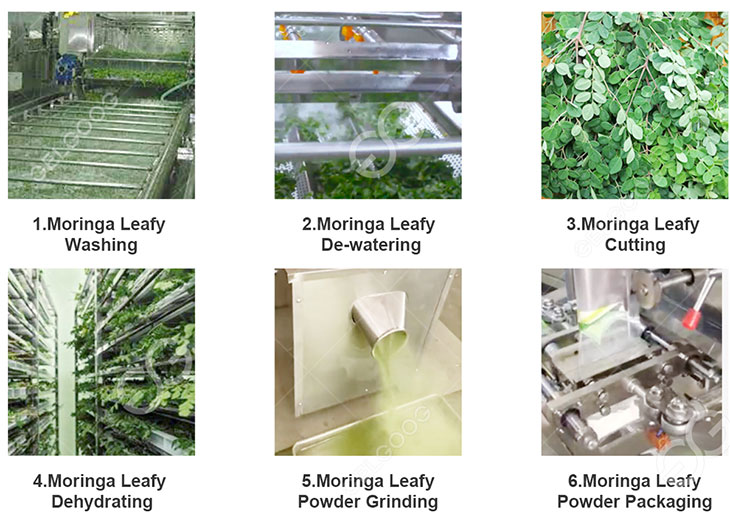 moringa-powder-production-line.jpg