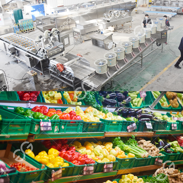 Pre-treatment vegetable processing line cost.jpg