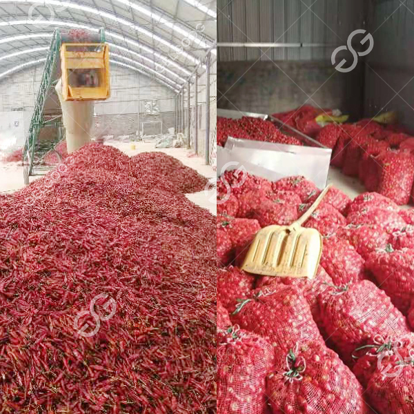 Process Technology Equipment For Dried Chili