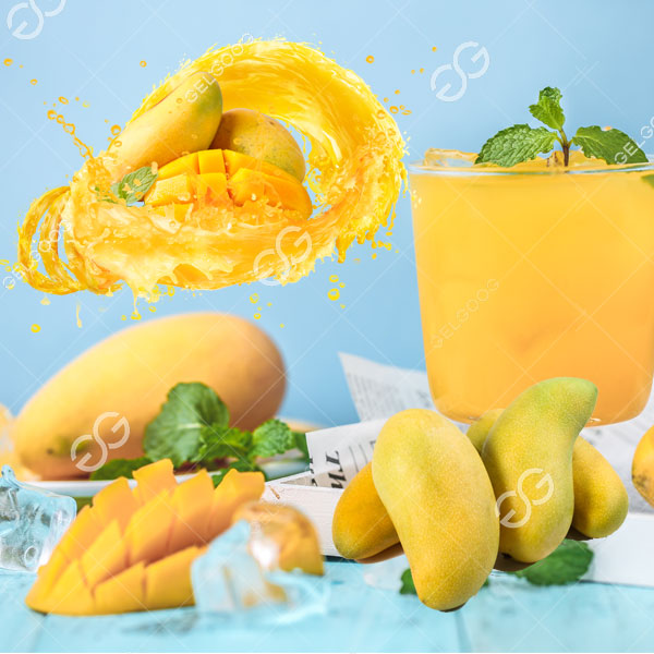 mango processing business