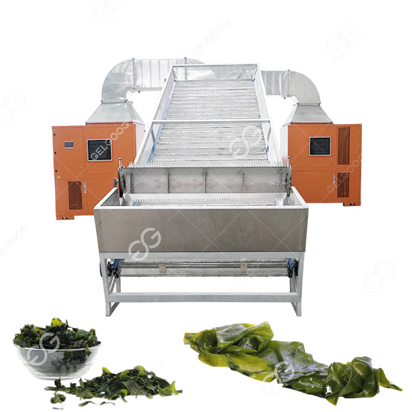 Customized Seaweed Conveyor Mesh Belt Dryer Machine