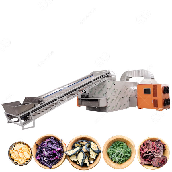 mesh belt dryer.jpg