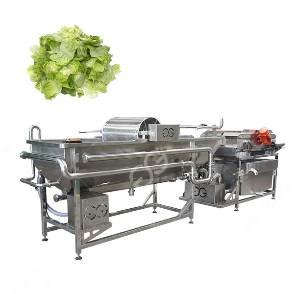 Vegetable Cabbage Washing Machine For Salad Processing