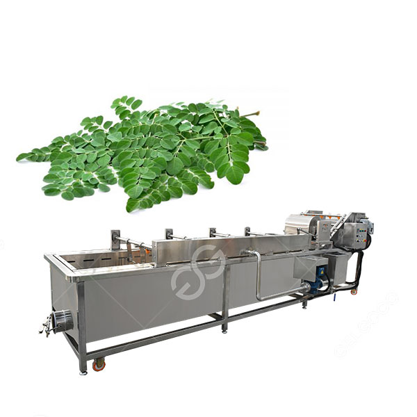 Industrial Herbal Moringa Leaf Cleaning Machine