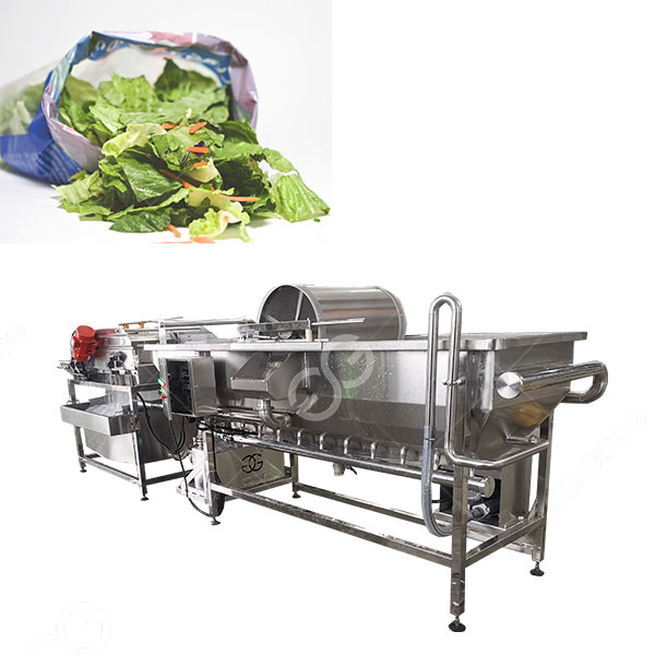 Salad-processing-equipment-.jpg