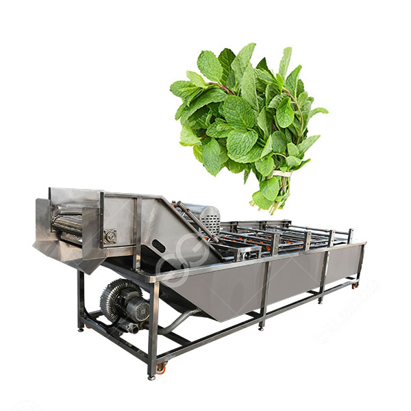 industrial-herb-washing-machine.jpg