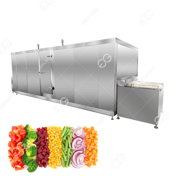 tunnel freezer .jpg