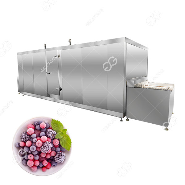 fruit freezer machine.jpg