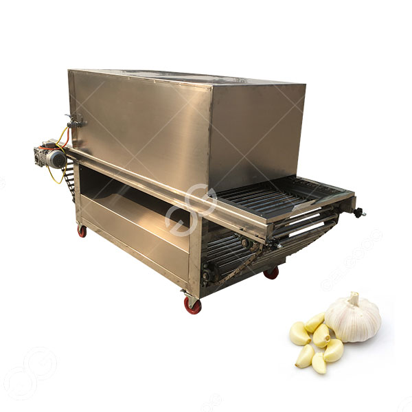 garlic-peeling-machine-business.jpg