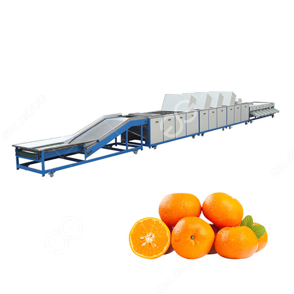 Citrus Sorting Grading Machine Equipment Price