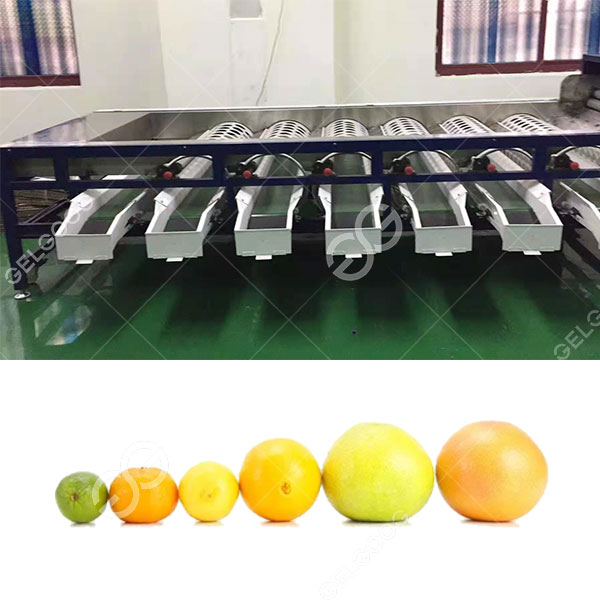 citrus-sorting-machine-.jpg