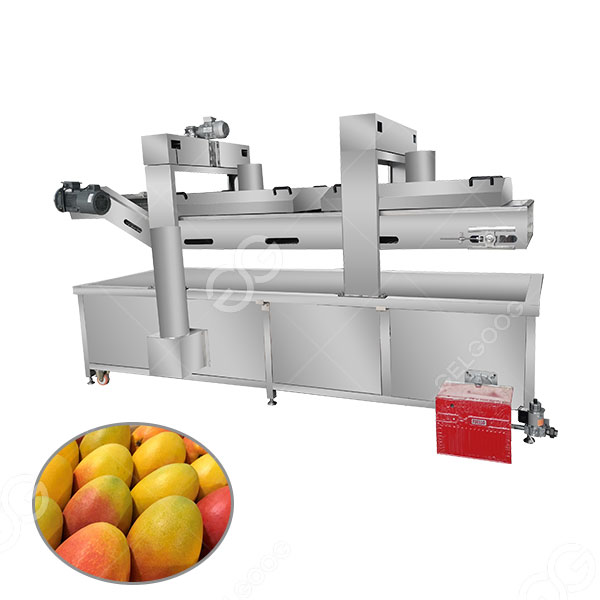 mango-blanching-machine-benefits1.jpg