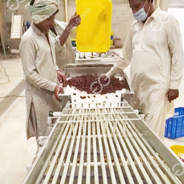 Joining hands with Pakistan INDUS Company, GELGOOG will rely on technological innovation to empower the fields of dates deep processing technology.