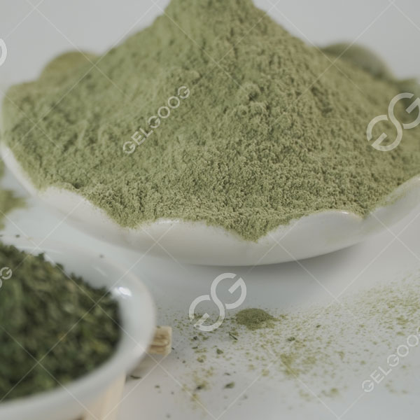 Moringa Leaf Powder Manufacturing Processing Machine