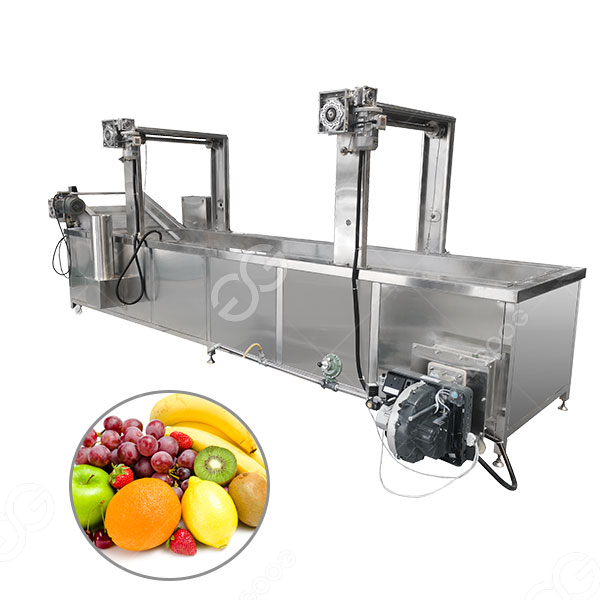 Customizable Fruit Sterilization Blanching Equipment