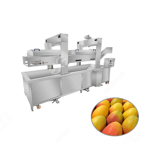 mango-blanching-machine price.jpg
