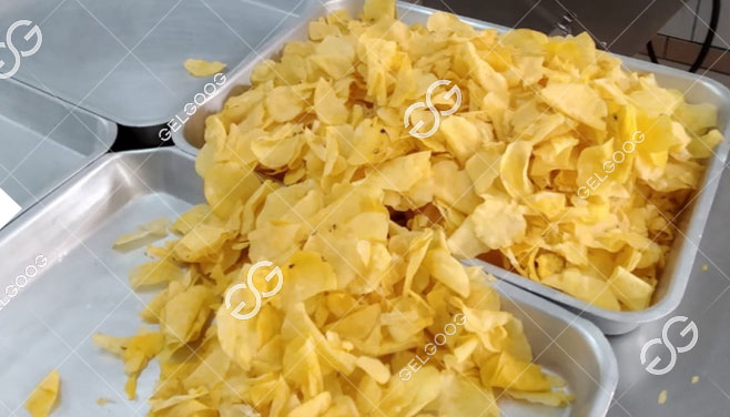 Feasibility of Banana Plantain Chips Business