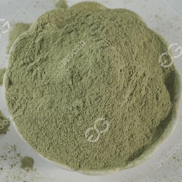 Manufacturing Process of Moringa Powder