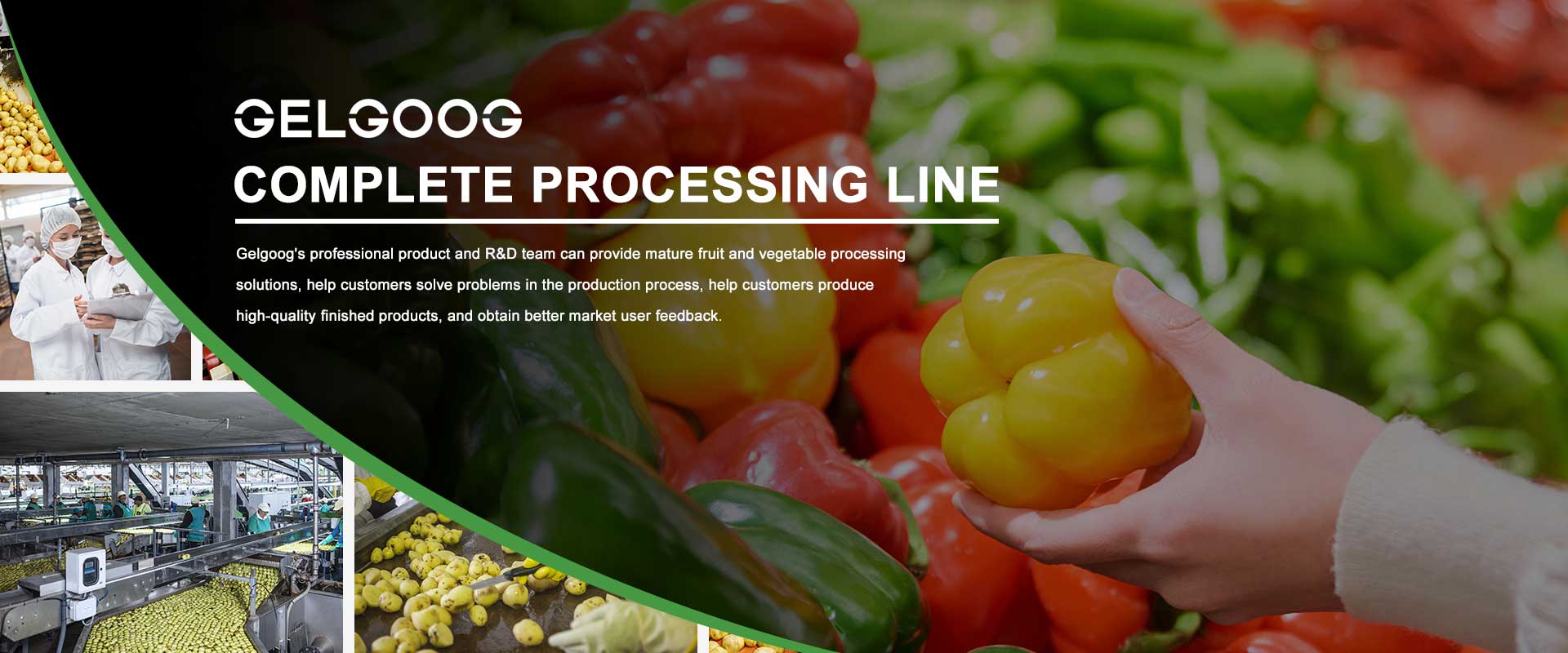 GELGOOG COMPLETE PROCESSING LINE